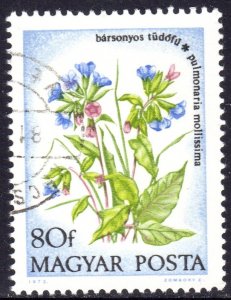 HUNGARY UNDESCRIBED CLEARANCE