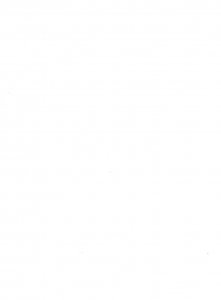 U.S. #SET/MIXED CONDITION 