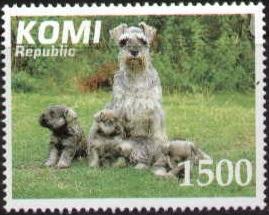 Dog, Terrier, Komi stamp MNH