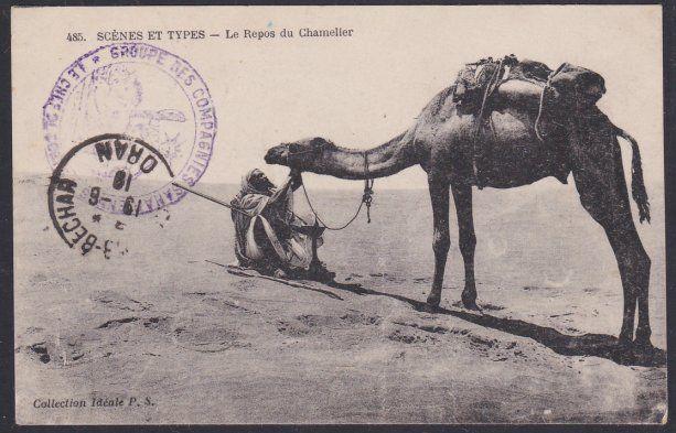 ALGERIA 1918 military postcard - 'Sahara Company' handstamp etc............53653