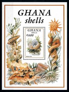 [99739] Ghana 1992 Marine Life Sea shells Souvenir Sheet MNH