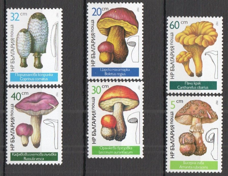 B1132 1987 Bulgaria Flora Nature Mushrooms 1Set Mnh