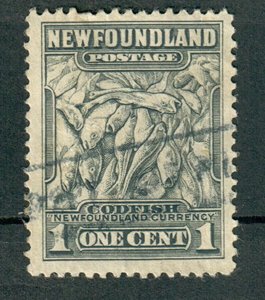 Newfoundland #253 used single - perf 12.5