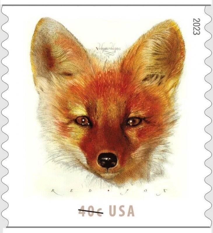 US 5742 Red Fox 40c coil single (1 stamp) MNH 2023 after Jan 15 