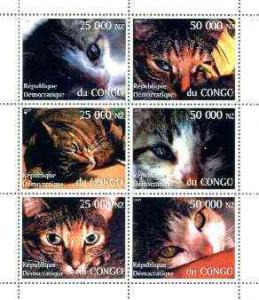 CONGO SHEET DOMESTIC CATS 