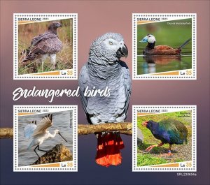 SIERRA LEONE - 2023 - Endangered Birds - Perf 4v Sheet - Mint Never Hinged