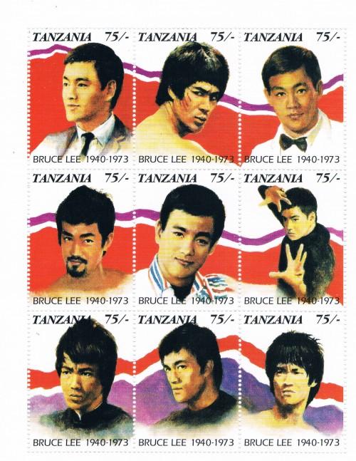 Tanzania 811 Bruce Lee Sheet of 9 Different MNH (ML0282)