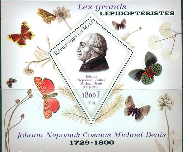 MALI SHEET BUTTERFLIES INSECTS LEPIDOPTERISTS