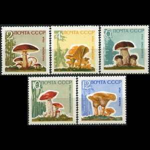 RUSSIA 1964 - Scott# 2963-7 Mushrooms Set of 5 NH