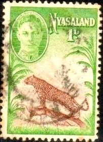 Leopard, Nyasaland Protectorate stamp SC#84 used