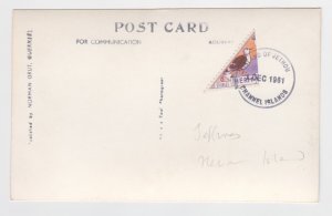 Guernsey Herm Bisected Triangular on P/Card - Postmark Jethou single ring