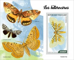 Togo - 2022 Moths, Tigridoptera Exul - Stamp Souvenir Sheet - TG220217b2