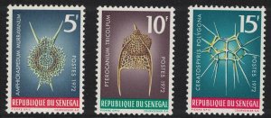 Senegal Protozoans and Marine Life 3v 1972 MNH SG#507-509 MI#505-507