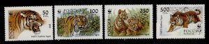 Russia 6178-81 MNH Tiger