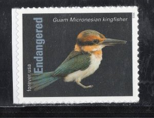 5799N * GUAM MICRONESIAN KINGFISHER * ENDANGERED SPECIES *   U.S. Postage  MNH