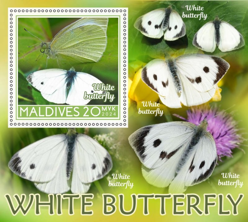 Stamps.Fauna, Butterflies  2024 year 8 sheets perforated