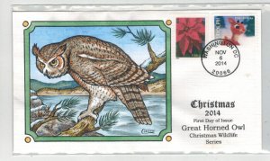 2014 COLLINS HANDPAINTED CHRISTMAS RUDOLPH & LOVE STAMP COMBO Great Horned Owl