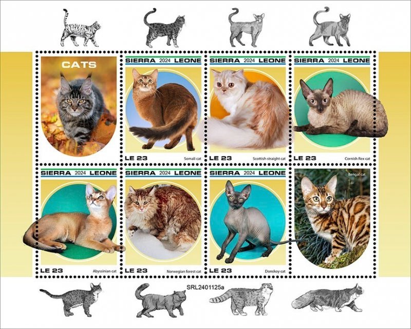 2025 05 - SIERRA LEONE - CATS II      6V  complet set    MNH **