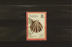 8831   Belize   Used # 479   Sea Shell - Chlamys Imbricata     CV$ 3.00