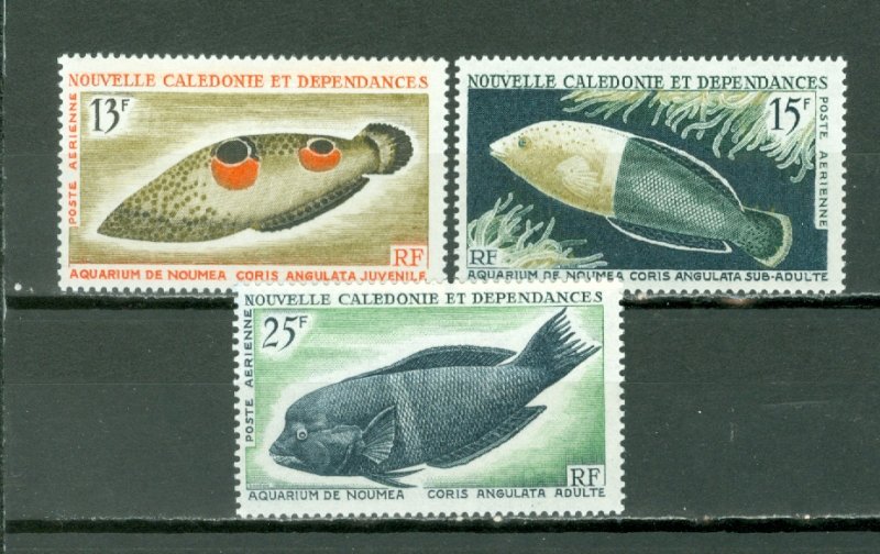 NEW CALEDONIA  FISH #C41-43...SET...MINT