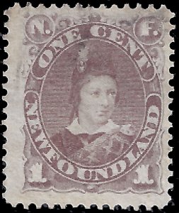 Newfoundland 1880 Sc 41 uf