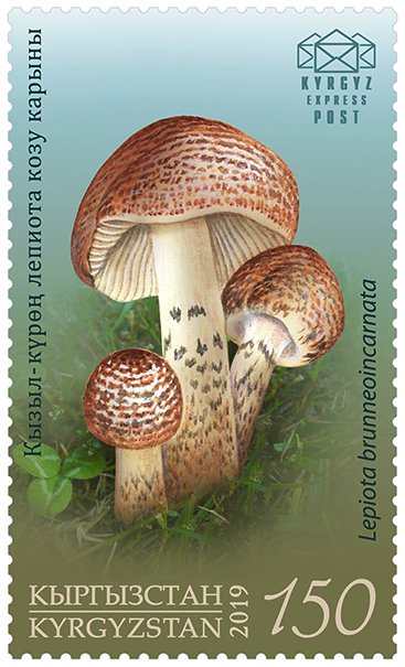 Stamps of Kyrgyzstan 2019. - Stamp.  Stamp.  124M. Deadly Dapperling.