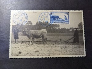 1940 France Souvenir Maxi Postcard Cover Vielle St Girons Landes Cow Ploughing