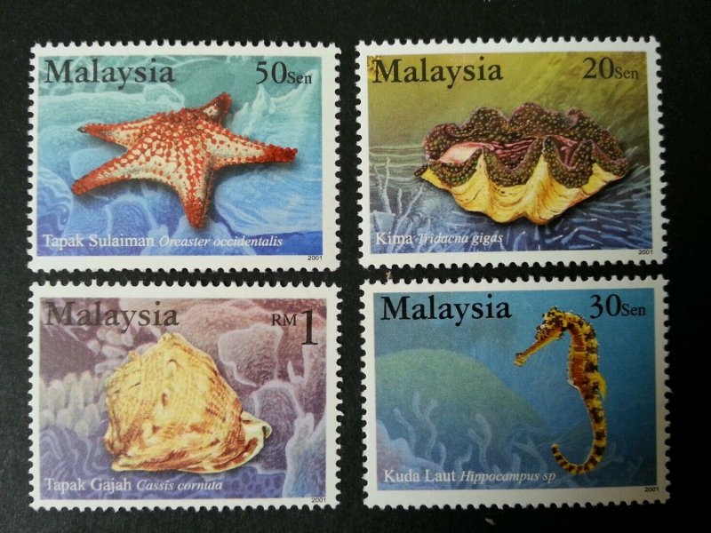 *FREE SHIP Marine Life Series V Malaysia 2001 Coral Fish Sea Shell (stamp) MNH