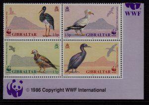 Gibraltar Sc 594a NH issue of 1986 - Block of 4 - Birds - WWF