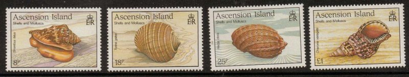 ASCENSION SG506/9 1989 SHELLS MNH