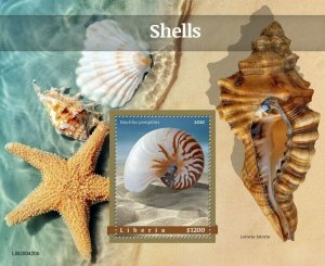 YEAR 2020/10- LIBERIA- SHELLS         1V complet set    MNH ** T