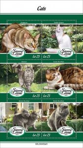 2024 03- SIERRA LEONE - CATS          6V complet set    MNH ** T