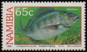 Namibia 757 - Mint-NH - 65c West Coast Seabream (Steenbras) (1994) (cv $0.55)