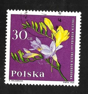 Poland 1964 - U - Scott #1280