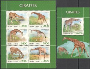 HM1529 2018 SIERRA LEONE GIRAFFES WILD ANIMALS FAUNA #10185-0+BL1552 MNH