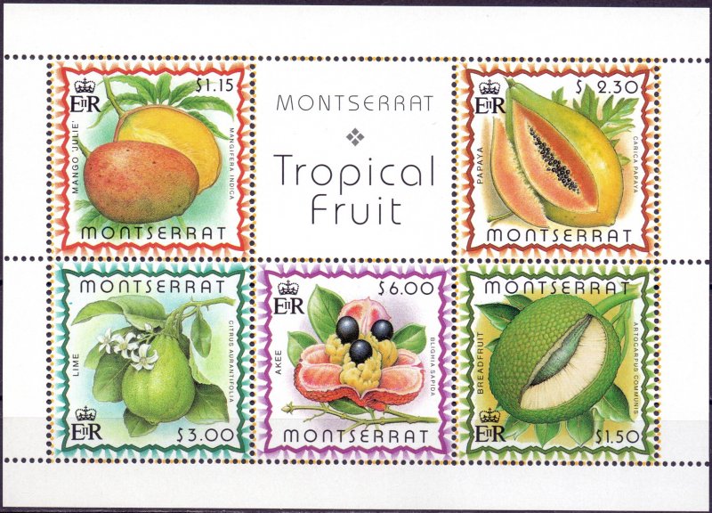 Montserrat. 1999. 1095-99 bl82. Flora fruits. MNH.