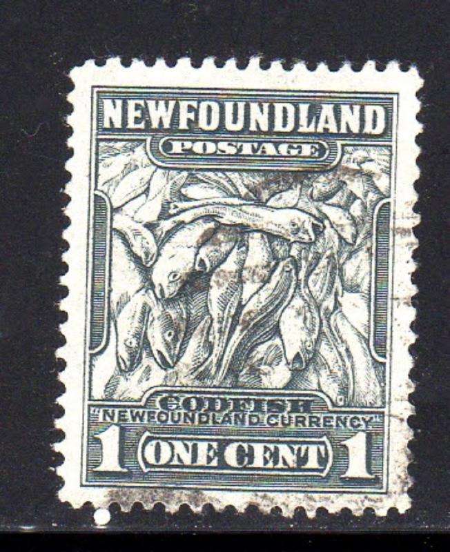 NEWFOUNDLAND #183  1932  1c  CODFISH       F-VF  USED  b
