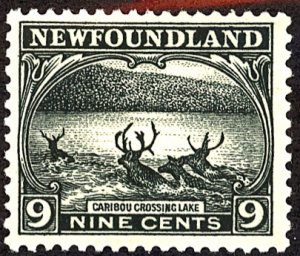 New Foundland #138 MINT OG HR