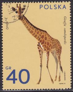 Poland 1889 Giraffe, Wild Game 40GR 1972