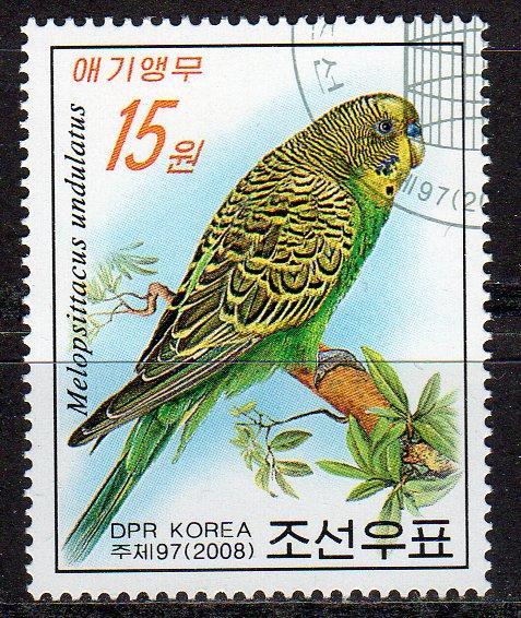 4723 - CTO-NH - Green Parakeet - Bird (1)