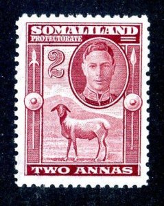 7045 BCX Somaliland 1942 scott #98 mnh** (offers welcome)