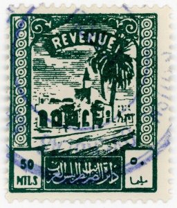 (I.B) BOIC (Tripolitania) Revenue : Duty Stamp 50m (1953) colour error