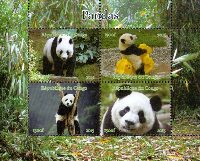 Congo 2015 Panda Animals 4v Mint souvenir Sheet S/S. (#15)