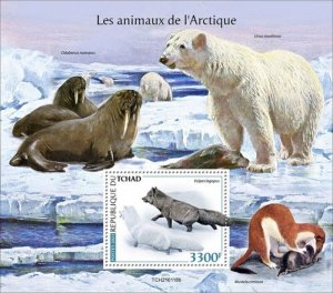 Chad - 2021 Arctic Animals, Arctic Fox - Stamp Souvenir Sheet - TCH210118b