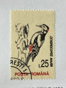 Romania 1993 Scott 3816 used - 25 l, birds, Dendrocopos major