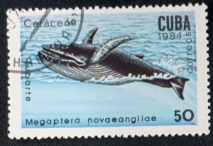 CUBA Sc# 2683 MARINE MAMMALS ocean sea life 50c  1984  used cto