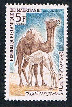 Mauritania 138 MLH Dromedaries (BP1071)