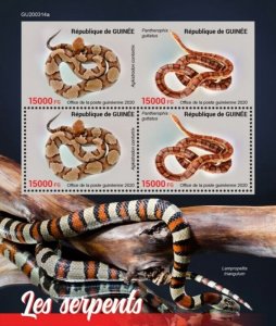 Guinea - 2020 Snakes, Pit Viper, Corn - 4 Stamp Sheet - GU200314a