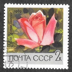 USSR SC 3596 * Rose * CTO * 1969