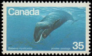 Canada #813-814, Complete Set(2), 1977, Turtles, Whales, Never Hinged